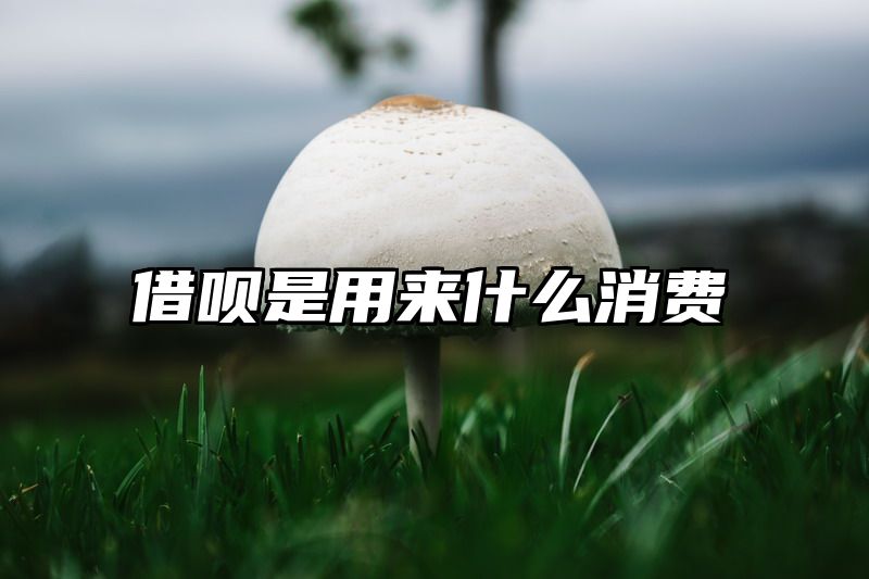 借呗是用来什么消费