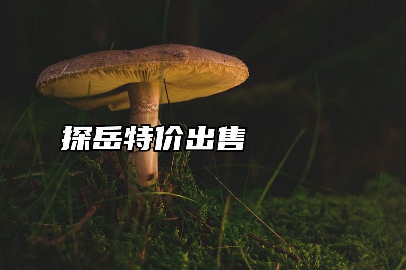 探岳特价出售