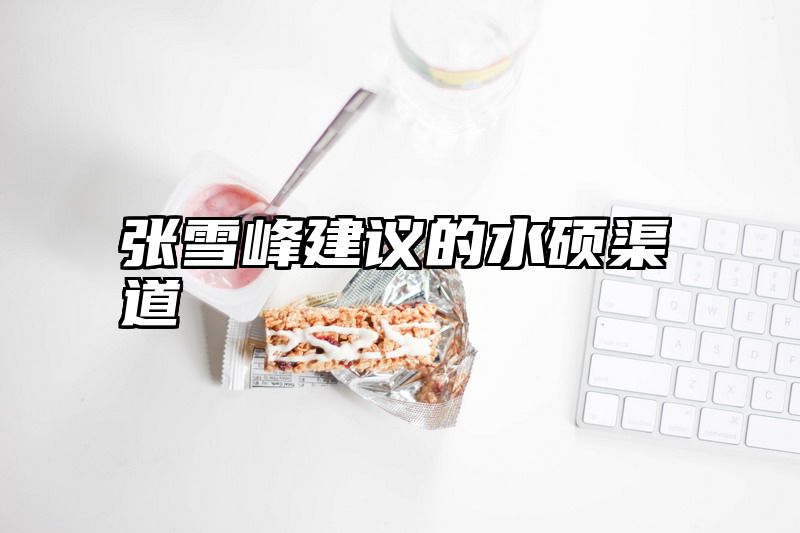 张雪峰建议的水硕渠道