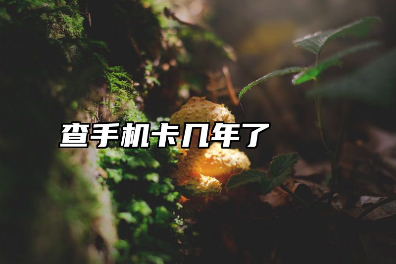 查手机卡几年了