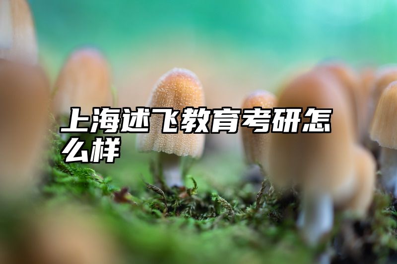 上海述飞教育考研怎么样