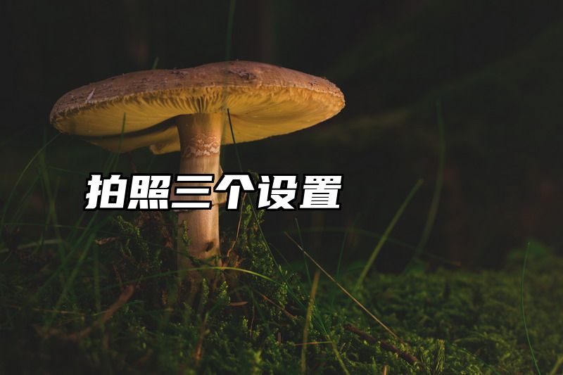 拍照三个设置