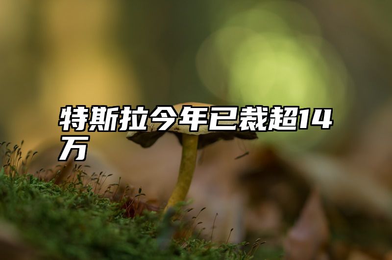 特斯拉今年已裁超14万