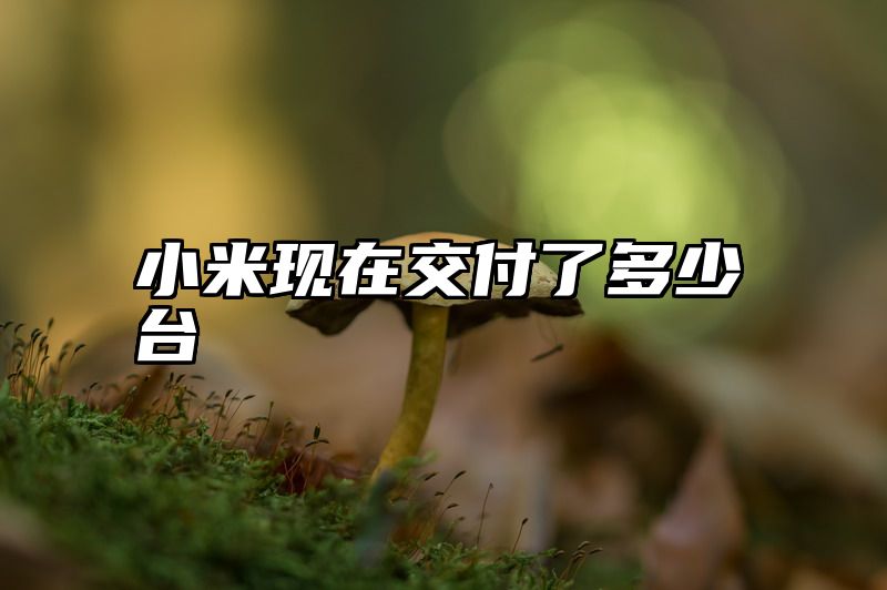 小米现在交付了多少台