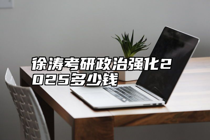 徐涛考研政治强化2025多少钱