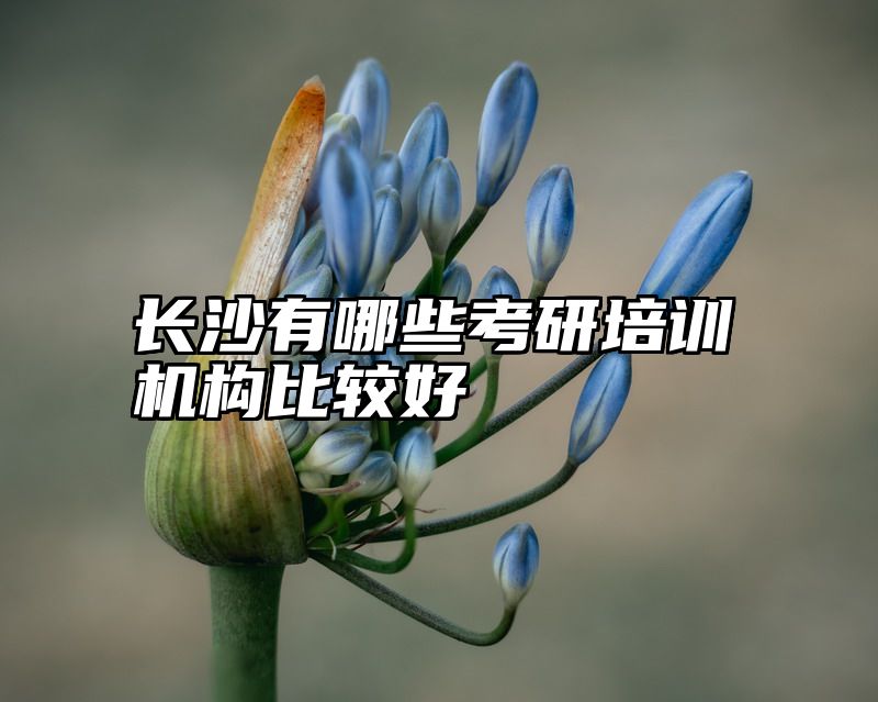 长沙有哪些考研培训机构比较好