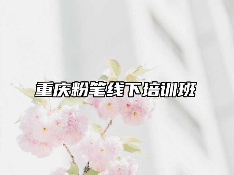 重庆粉笔线下培训班