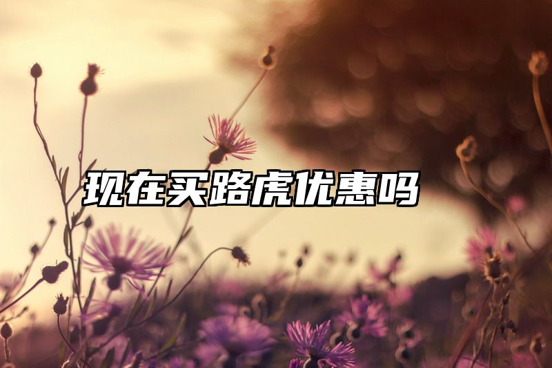 现在买路虎优惠吗