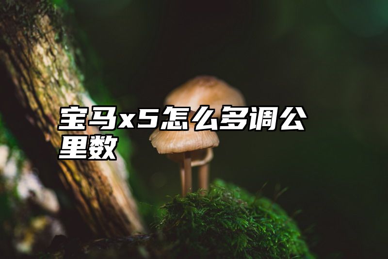 宝马x5怎么多调公里数