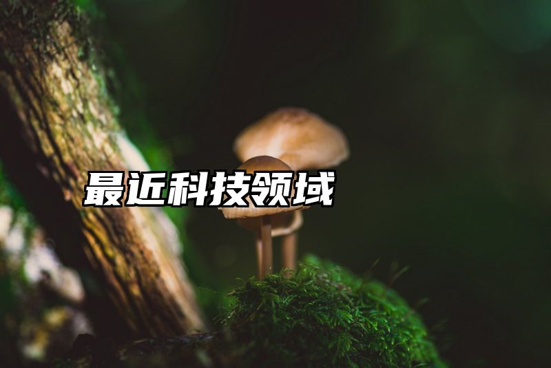 最近科技领域