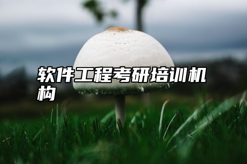 软件工程考研培训机构