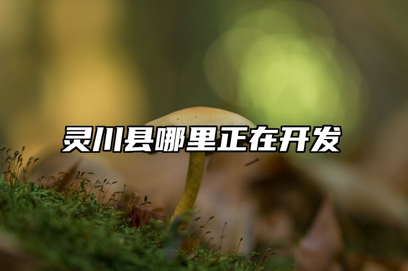 灵川县哪里正在开发