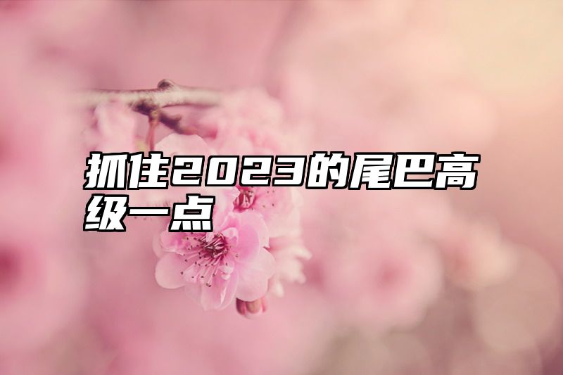 抓住2023的尾巴高级一点