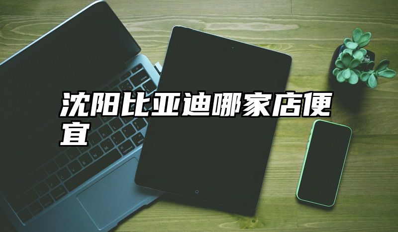 沈阳比亚迪哪家店便宜
