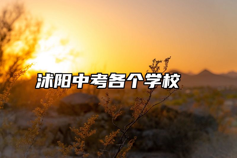 沭阳中考各个学校