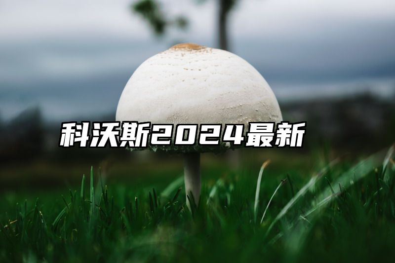 科沃斯2024最新