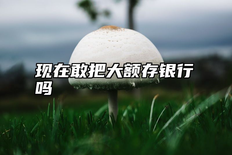 现在敢把大额存银行吗