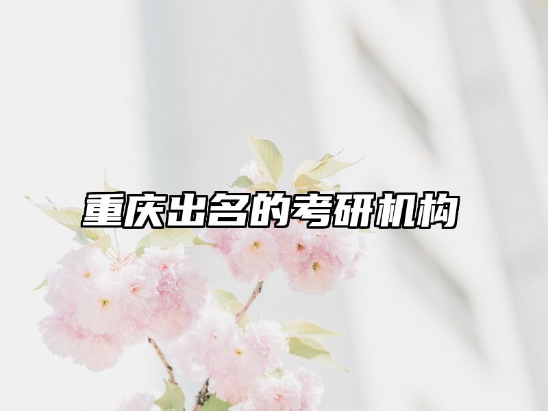 重庆出名的考研机构