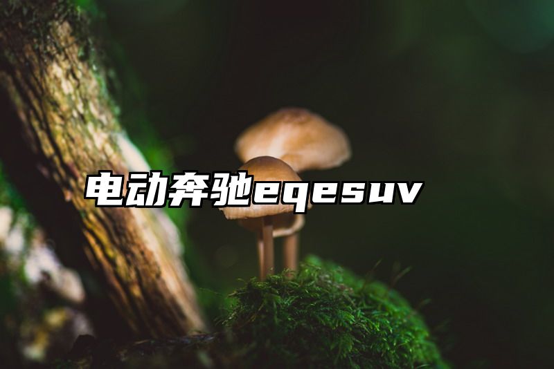 电动奔驰eqesuv