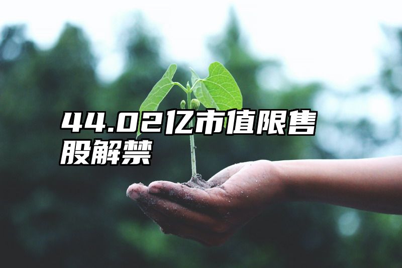 44.02亿市值限售股解禁
