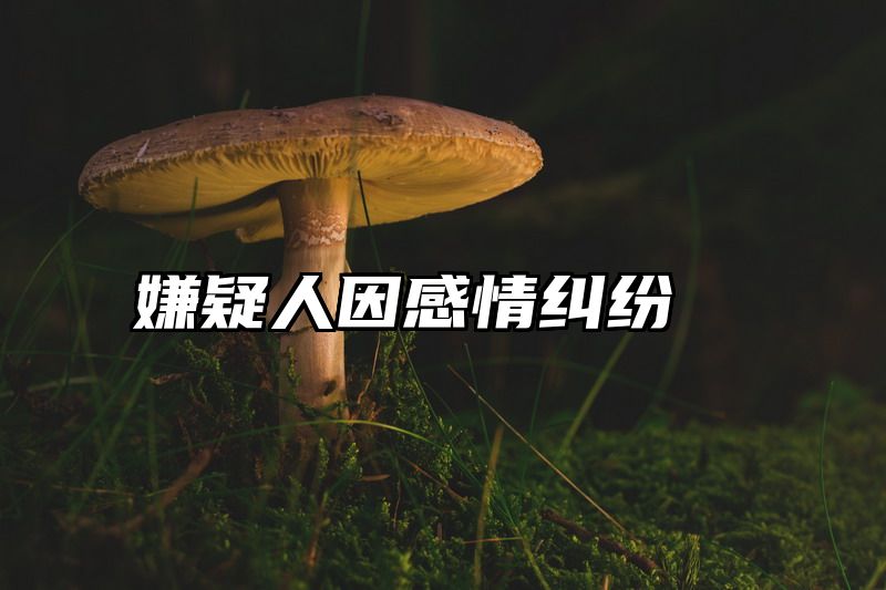 嫌疑人因感情纠纷