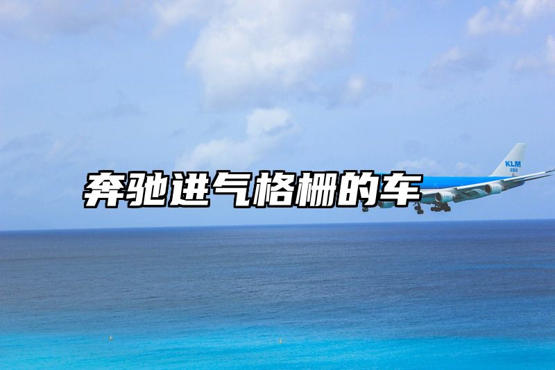 奔驰进气格栅的车