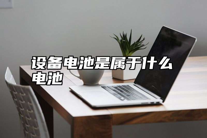 设备电池是属于什么电池