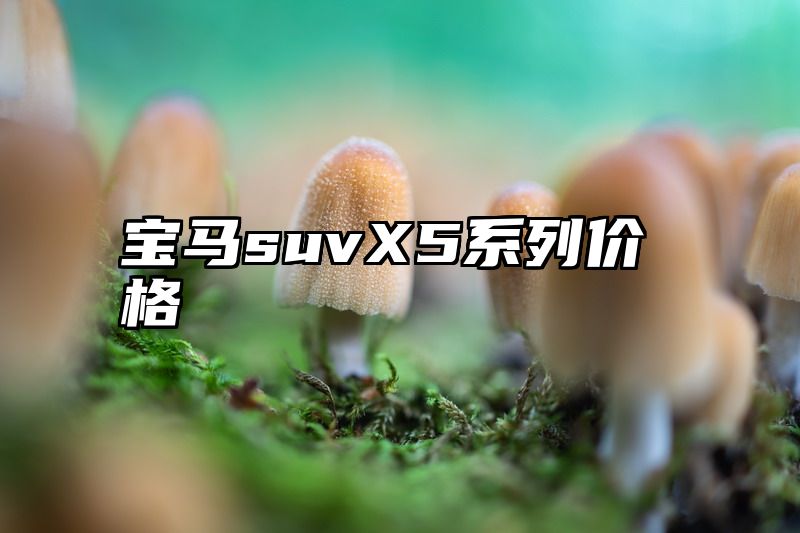宝马suvX5系列价格