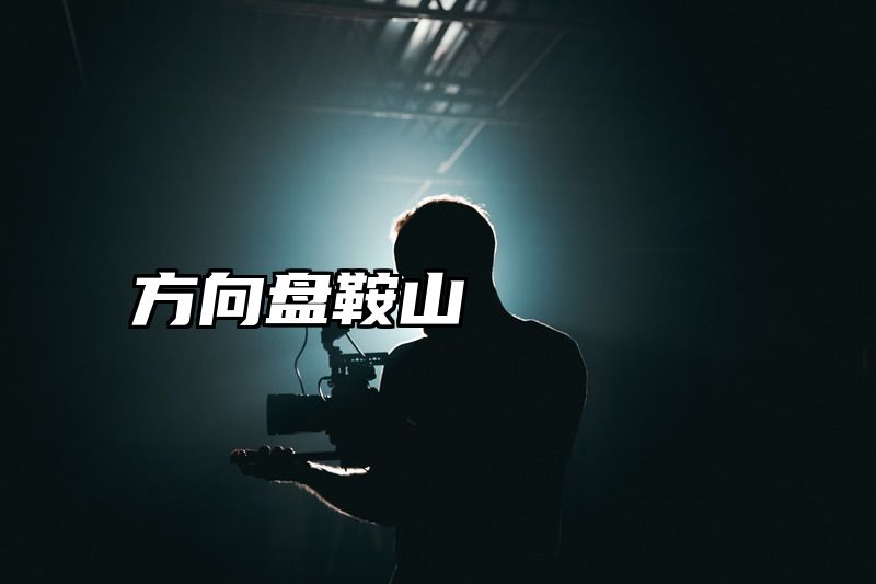 方向盘鞍山