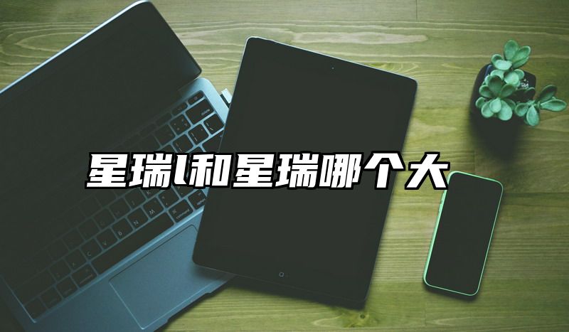星瑞l和星瑞哪个大