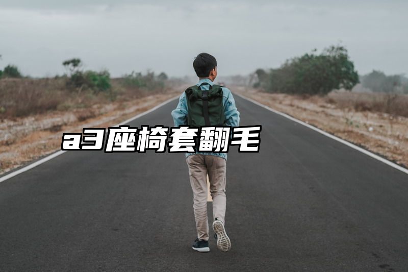 a3座椅套翻毛