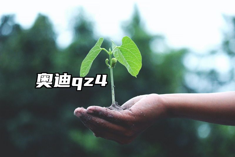 奥迪qz4