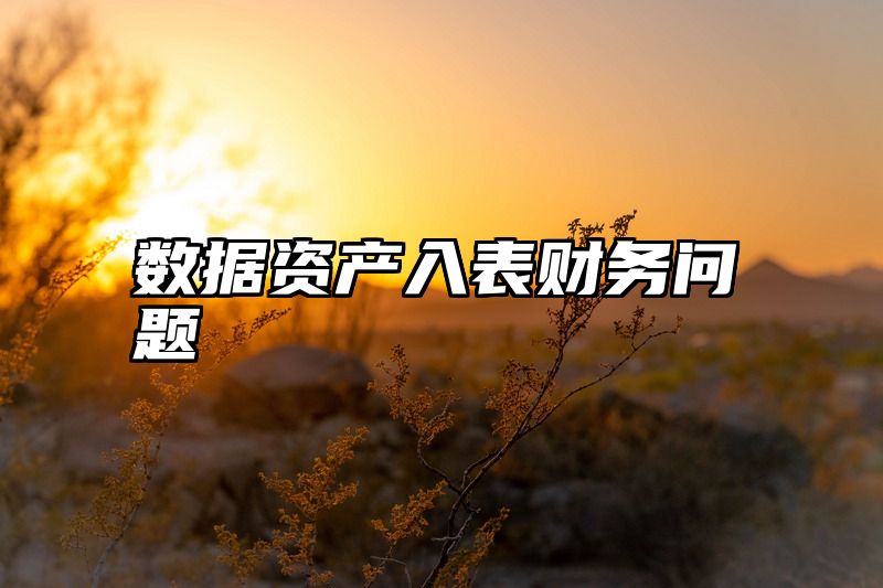 数据资产入表财务问题