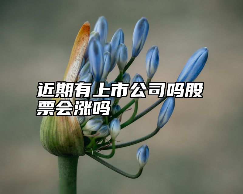近期有上市公司吗股票会涨吗
