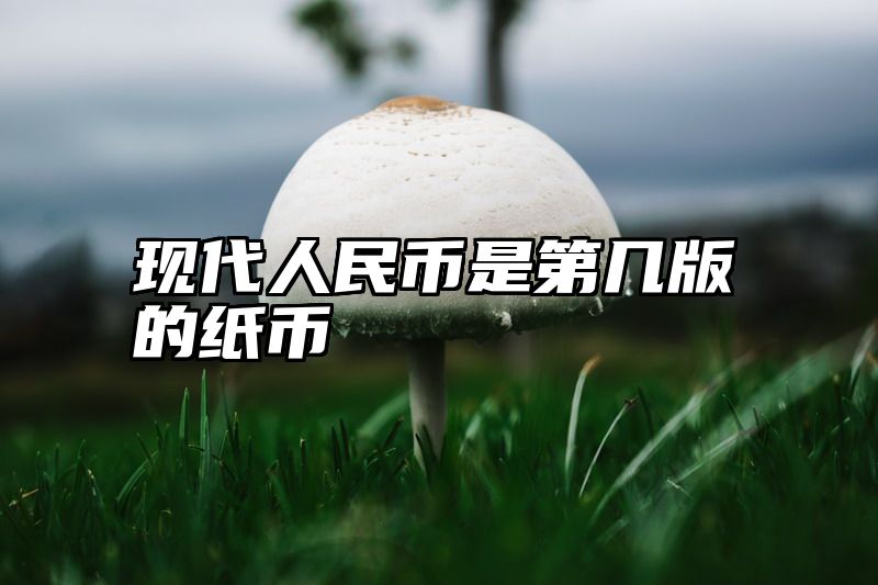 现代人民币是第几版的纸币