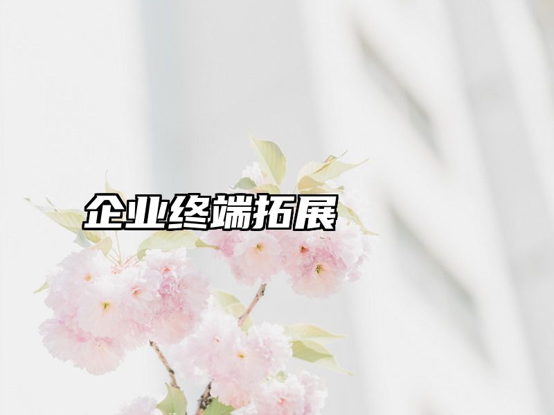 企业终端拓展