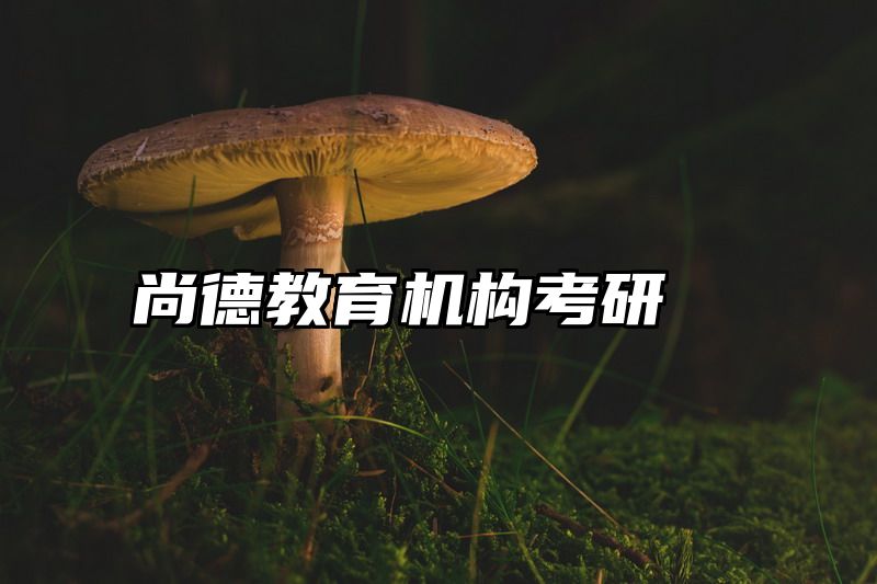尚德教育机构考研