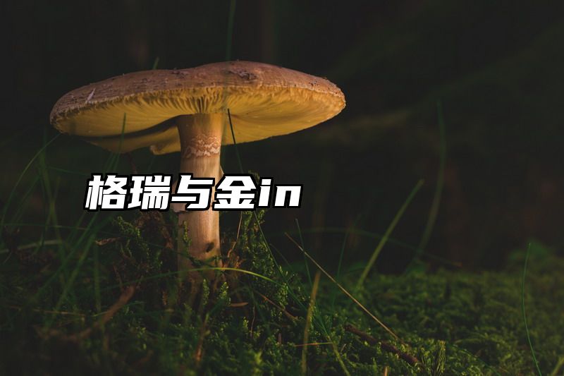 格瑞与金in