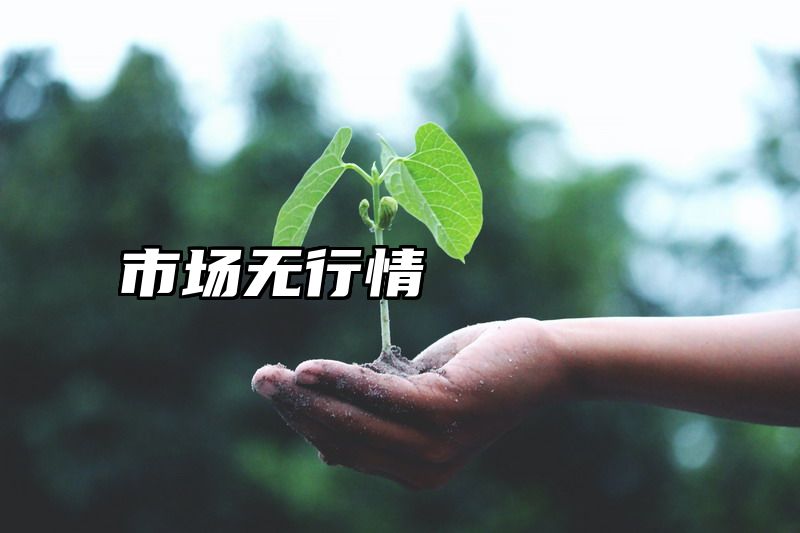 市场无行情