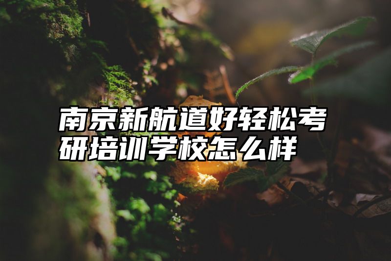 南京新航道好轻松考研培训学校怎么样