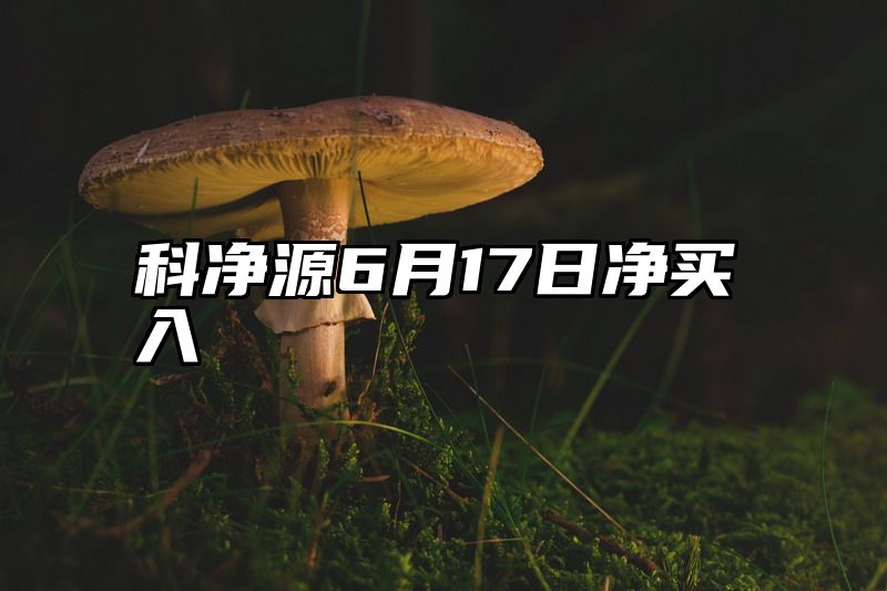 科净源6月17日净买入