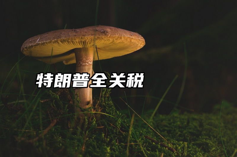 特朗普全关税