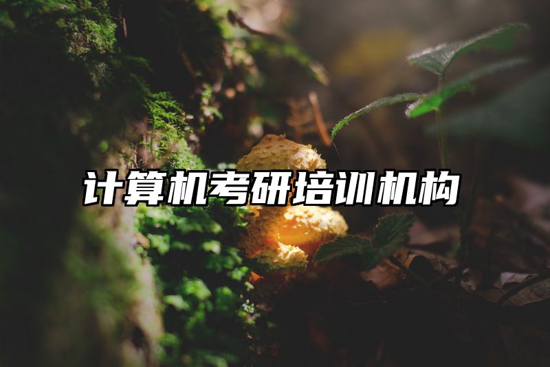 计算机考研培训机构