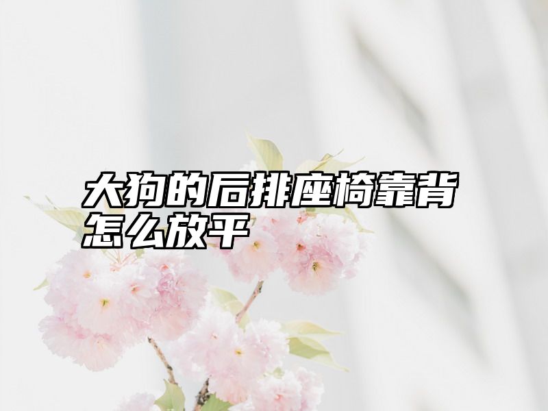 大狗的后排座椅靠背怎么放平
