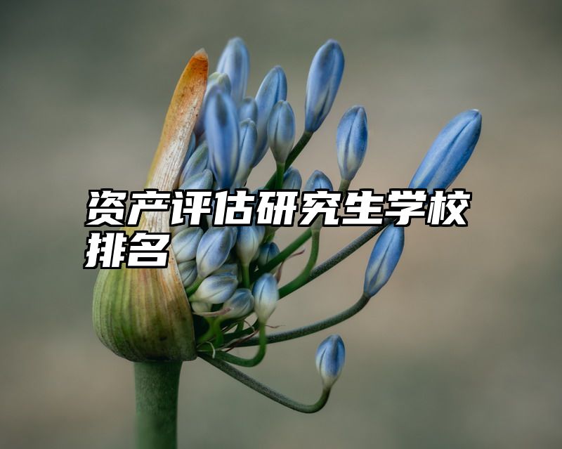 资产评估研究生学校排名
