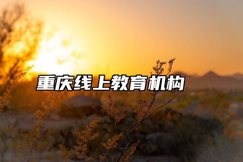 重庆线上教育机构