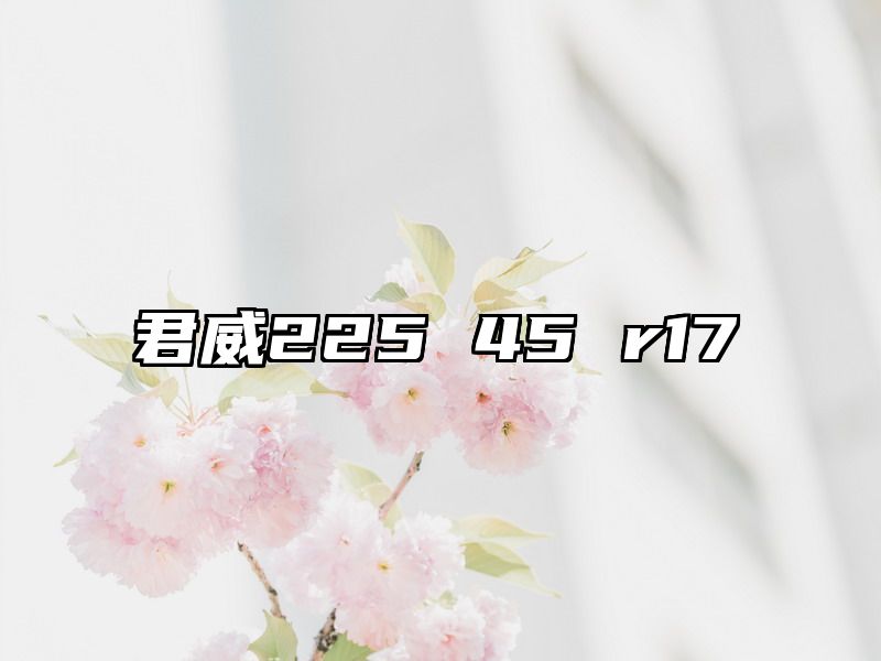 君威225 45 r17