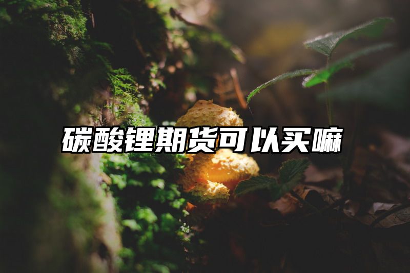 碳酸锂期货可以买嘛