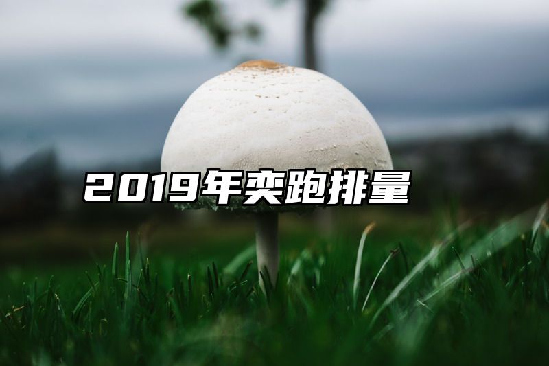 2019年奕跑排量
