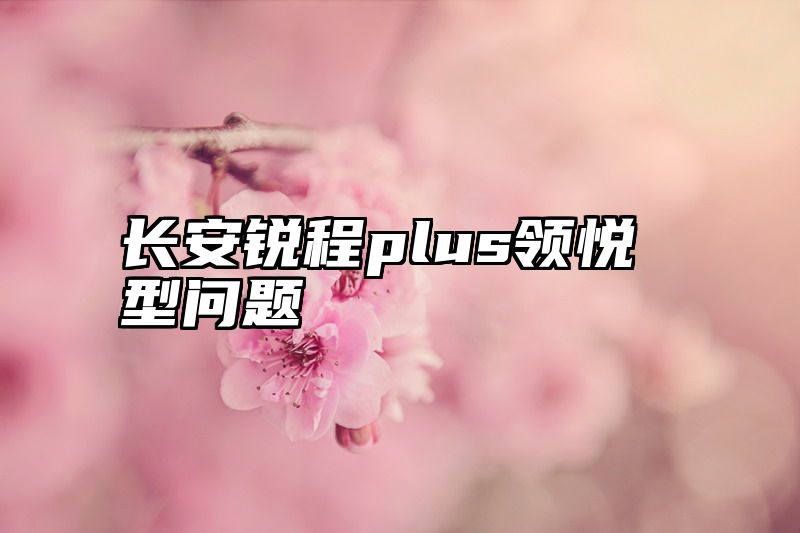 长安锐程plus领悦型问题